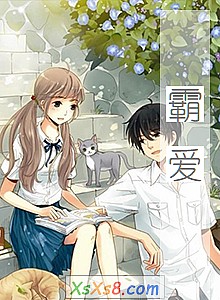 《霸爱》小说封面