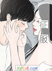 《征服》小说封面