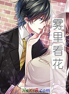 《雾里看花》小说封面