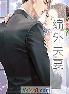 《编外夫妻》小说封面