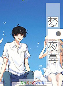 《梦·夜幕》小说封面
