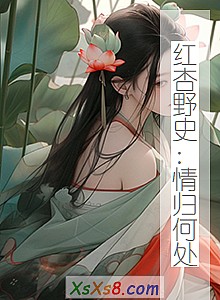 《红杏野史:情归何处》小说封面