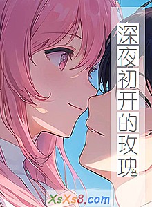 《深夜初开的玫瑰》小说封面