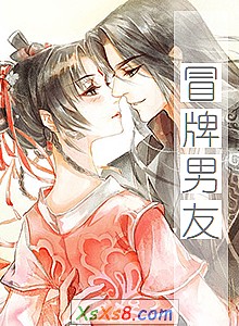 《冒牌男友》小说封面