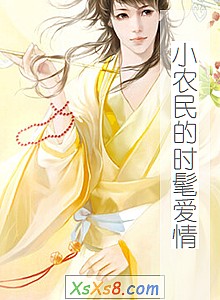 《小农民的时髦爱情》小说封面