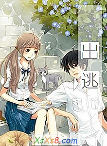 《出逃》小说封面