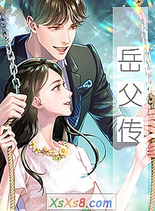 《岳父传》小说封面