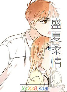 《盛夏柔情》小说封面