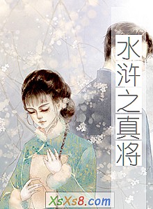 《水浒之真将》小说封面