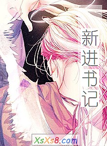 《新进书记》小说封面