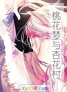 《桃花梦与杏花村》小说封面