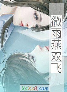 《微雨燕双飞》小说封面