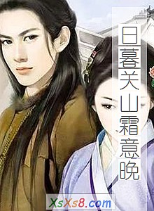 《日暮关山霜意晚》小说封面