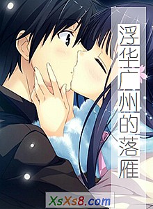 《浮华广州的落雁》小说封面