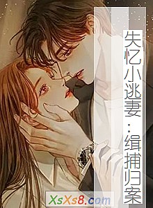 《失忆小逃妻:缉捕归案》小说封面