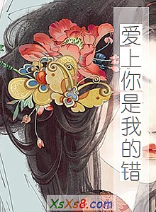 《爱上你是我的错》小说封面