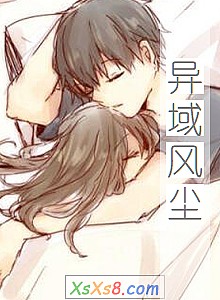 《异域风尘》小说封面