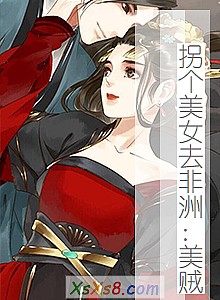 《拐个美女去非洲:美贼》小说封面