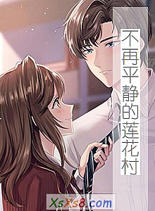 《不再平静的莲花村》小说封面