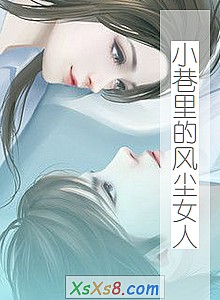 《小巷里的风尘女人》小说封面