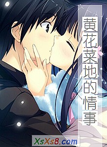 《黄花菜地的情事》小说封面