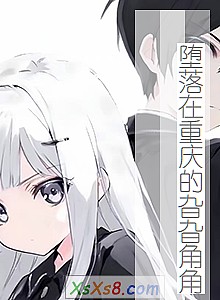 《堕落在重庆的旮旮角角》小说封面