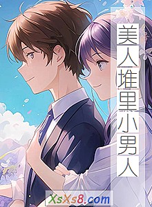 《美人堆里小男人》小说封面