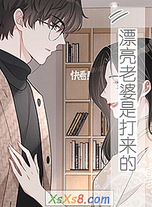 《漂亮老婆是打来的》小说封面