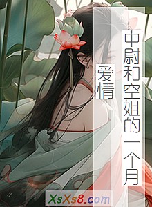 《中尉和空姐的一个月爱情》小说封面