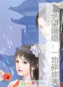 《绝望婚姻:一地碎玻璃》小说封面