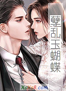 《孽乱玉蝴蝶》小说封面