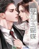 《孽乱玉蝴蝶》小说封面