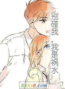 《别碰我,我是祸水》小说封面