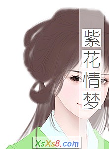 《紫花情梦》小说封面