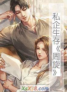 《私企生存周旋》小说封面