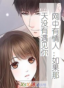 《网中有情人:如果那天没有遇见你》小说封面