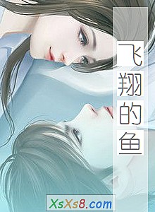 《飞翔的鱼》小说封面