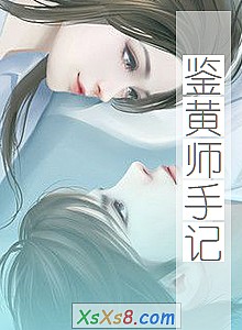 《鉴黄师手记》小说封面