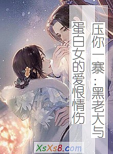 《压你一寨:黑老大与蛋白女的爱恨情伤》小说封面