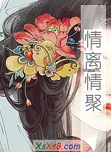 《情离情聚》小说封面