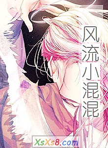 《风流小混混》小说封面