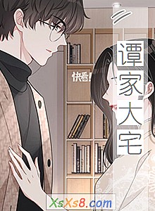 《谭家大宅》小说封面