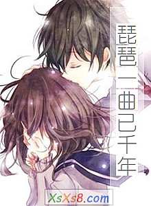 《琵琶一曲已千年》小说封面