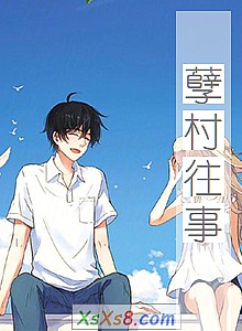 《孽村往事》小说封面