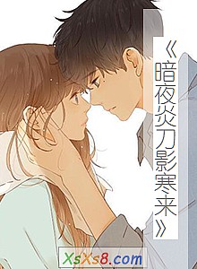 《暗夜炎刀影寒来》小说封面