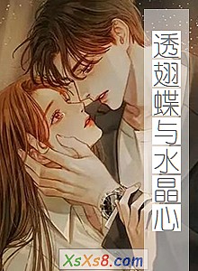 《透翅蝶与水晶心》小说封面