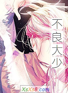 《不良大少》小说封面