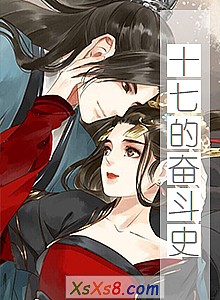 《十七的奋斗史》小说封面