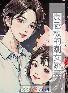 《煤老板的潮女娇妻》小说封面