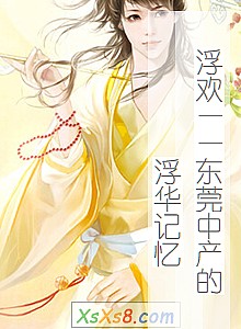 《浮欢——东莞中产的浮华记忆》小说封面